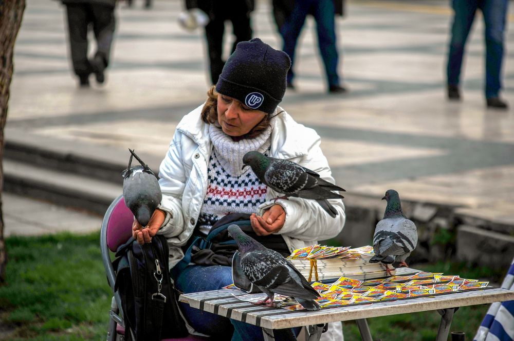 Photograph by DAMOUN POURNEMATI