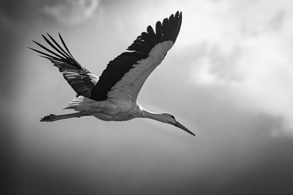 Фотография автора Максим Южик