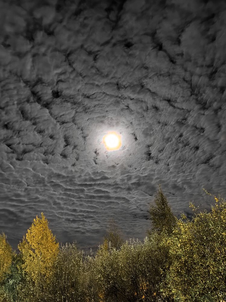 Photograph by Евгений Киевский