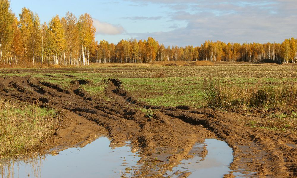 Photograph by Марианна Бессонова