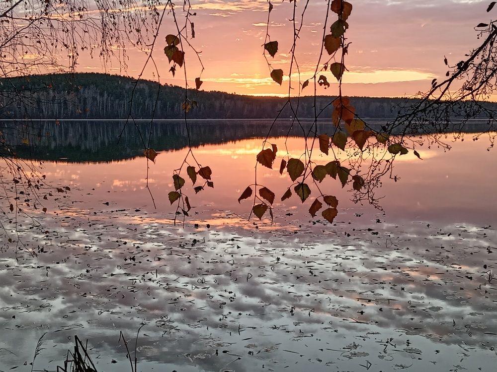 Photograph by Наталья Сырых