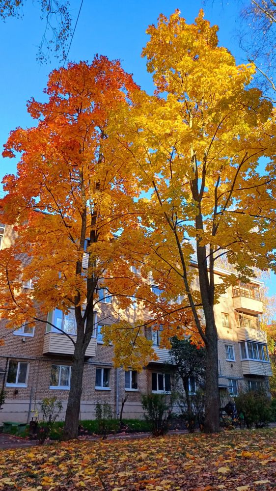 Photograph by Елена Воронова