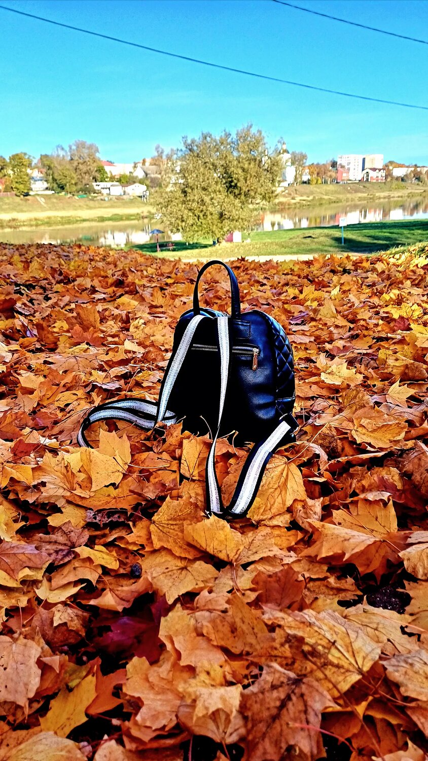 Photo #11202037