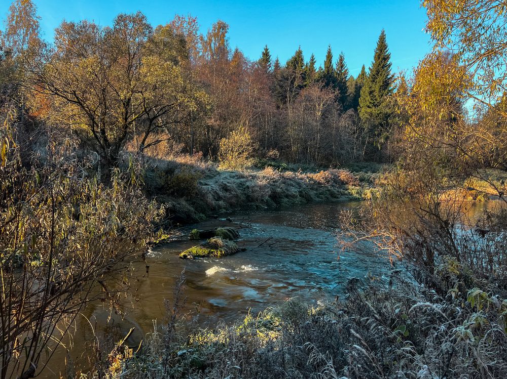 Photograph by Галина Аскольдовна Луковникова