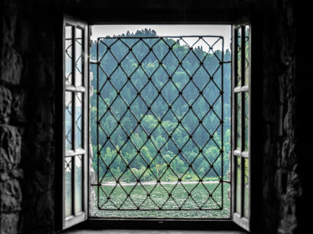 Фотография автора Erik Nelson