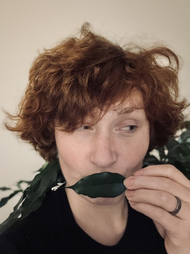 Photograph by Аlina BRAZIUL