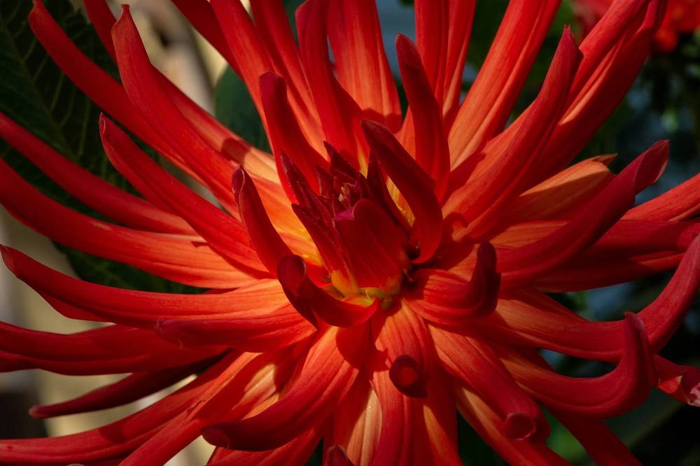 Photograph by Владимир Архипов