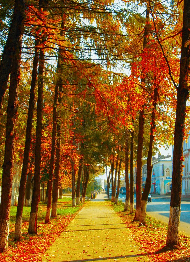 Photograph by Anton Hantov