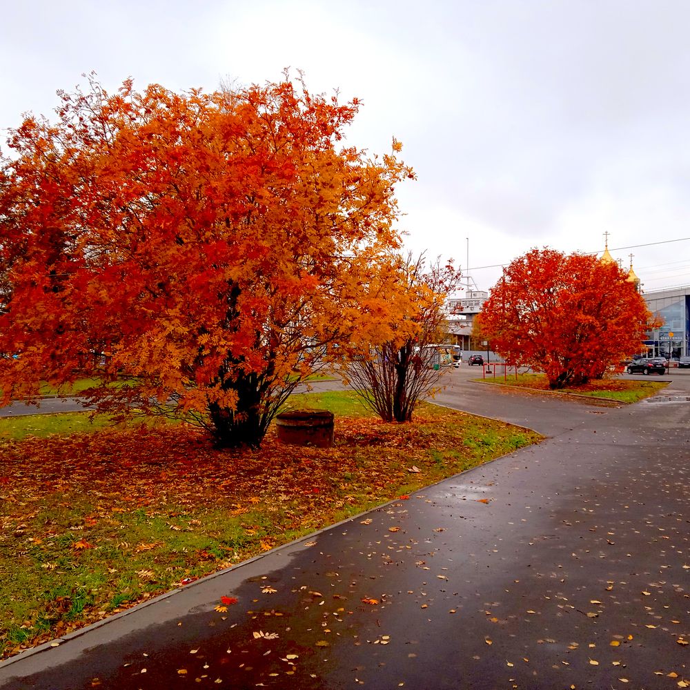Photograph by Татьяна Февральская