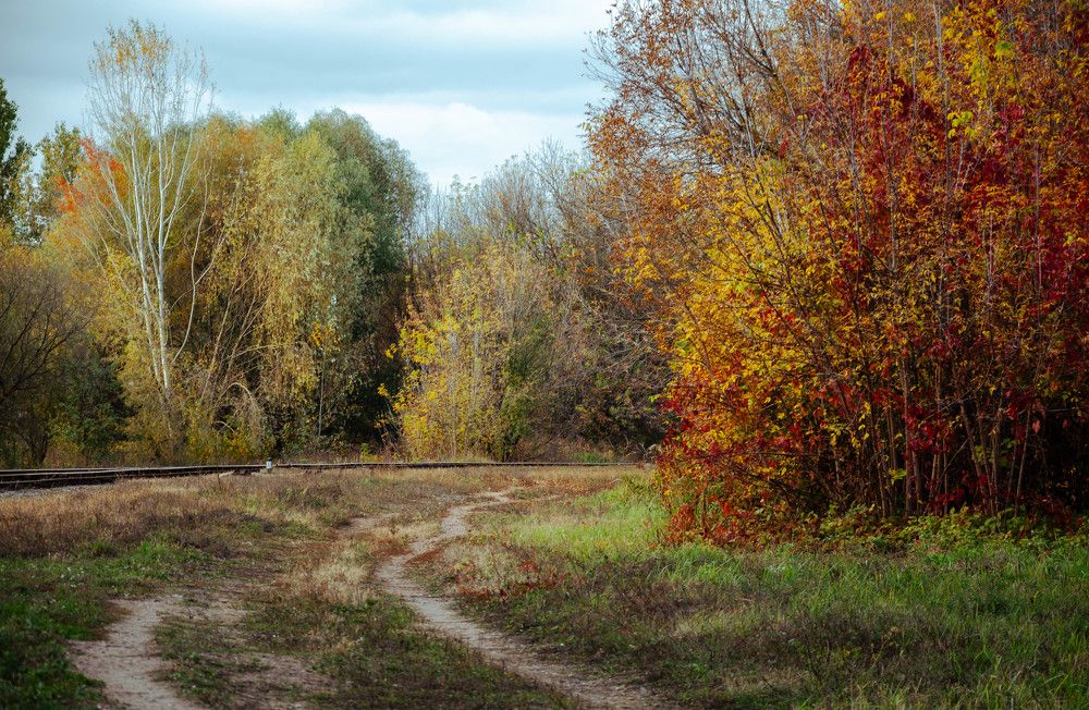 Фотография автора Анастасия Роговцова