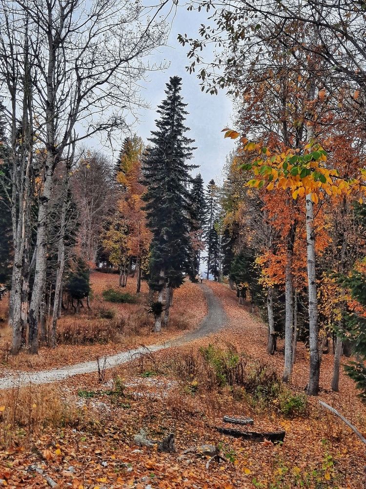 Photograph by Marina Sokolova