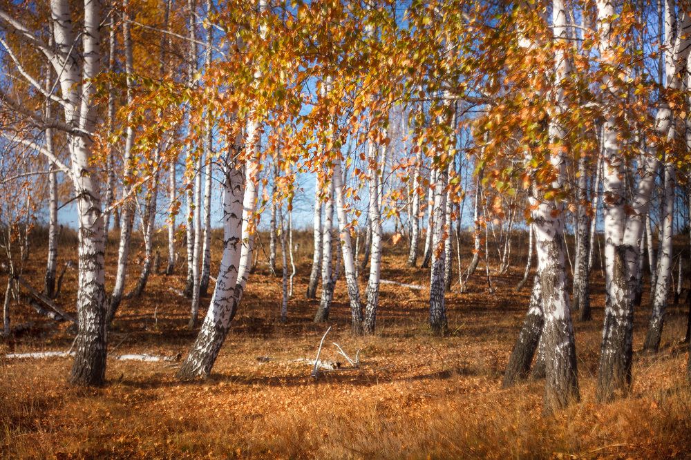 Photograph by Ткачёв Владимир
