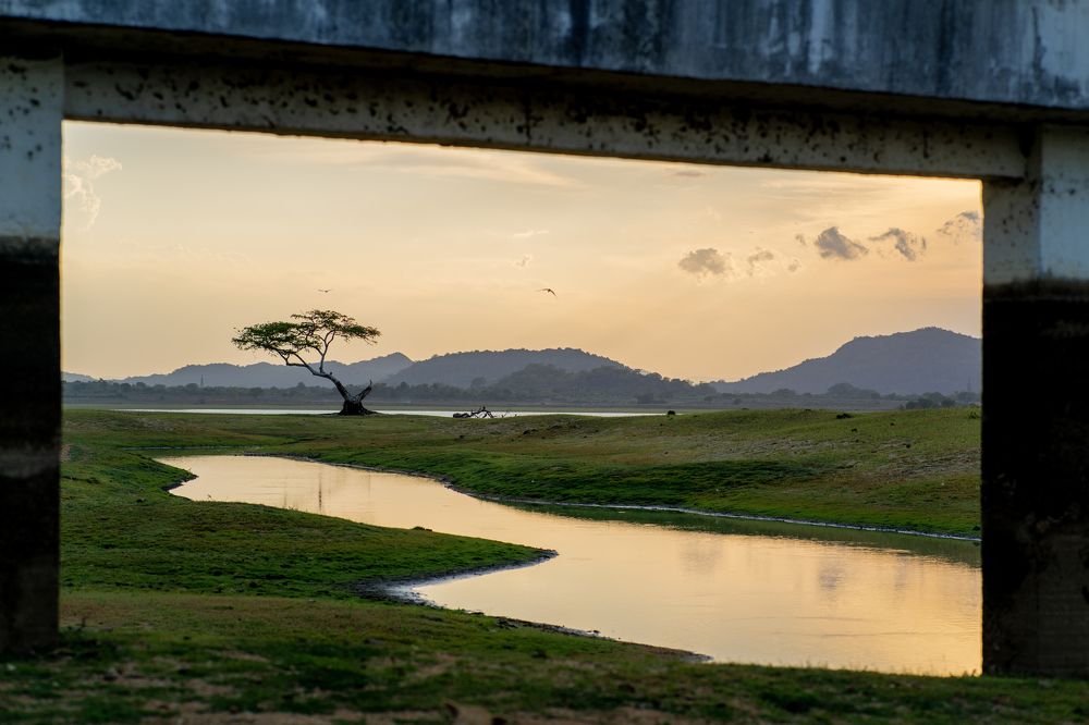 Photograph by THANUSSANTH THARMAPALAN