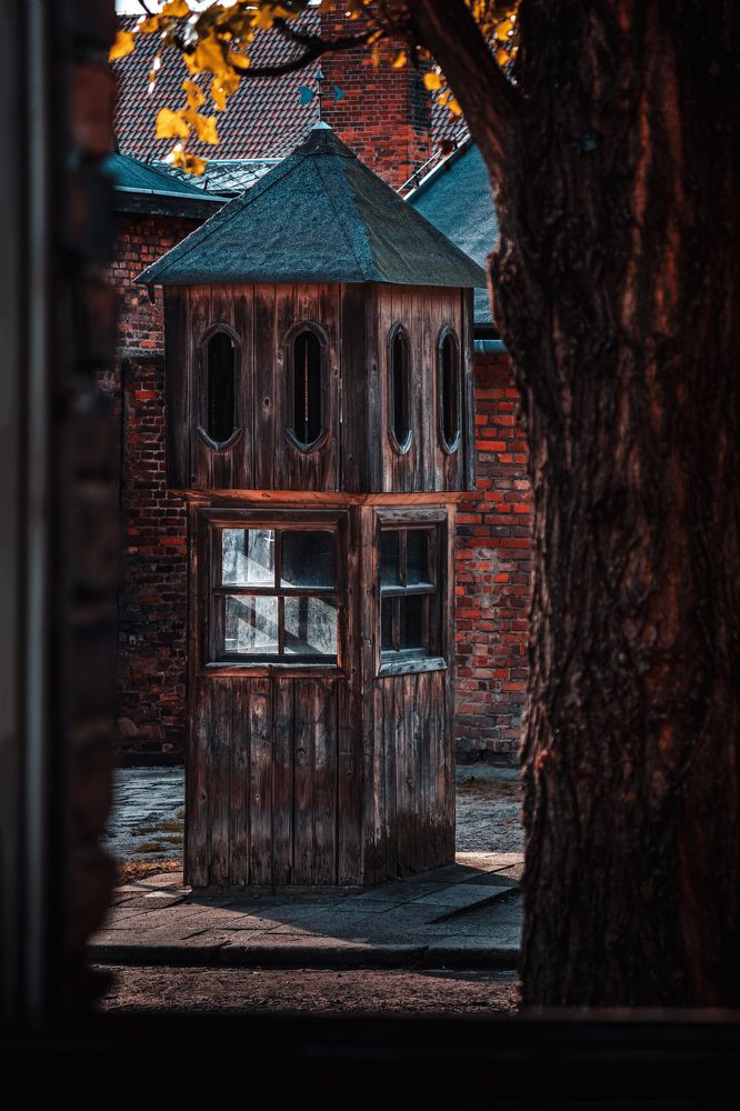 Photograph by Robert Fülöp