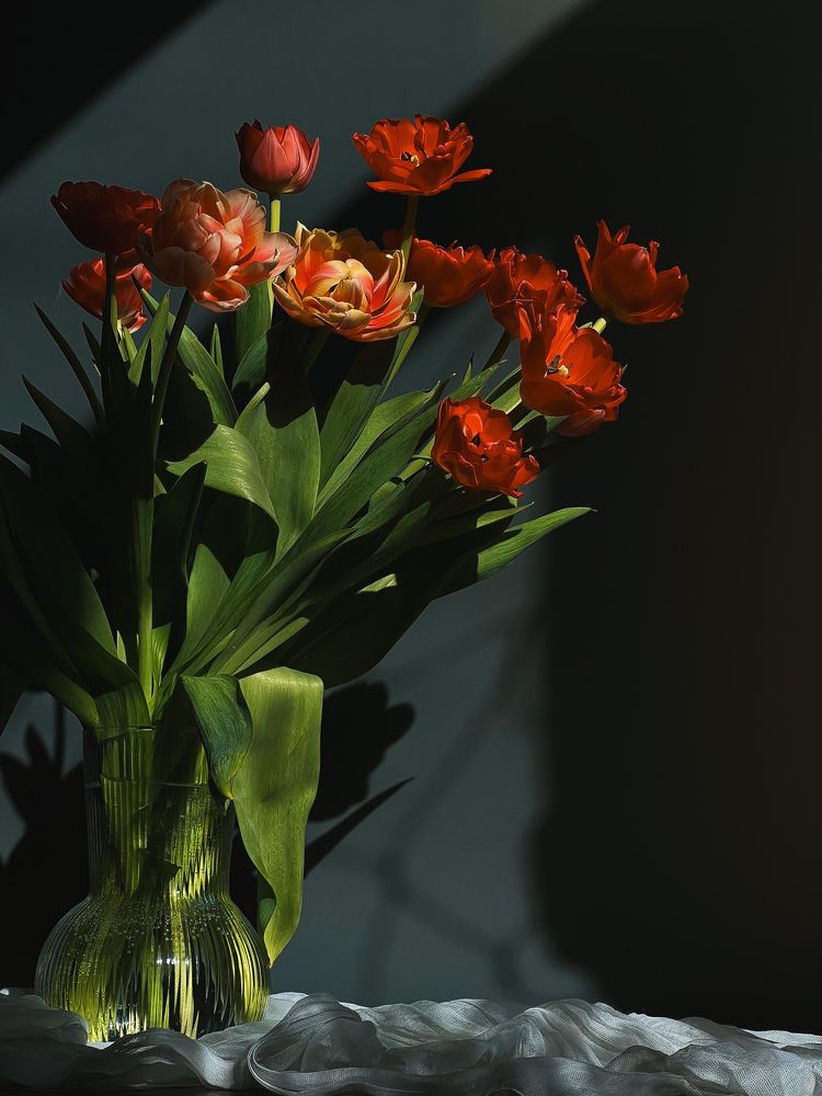 Photograph by Анастасия