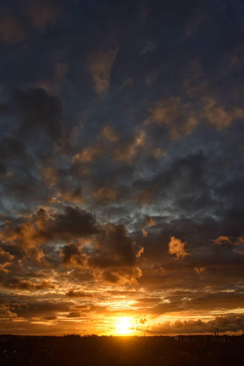 Photo #11202292
