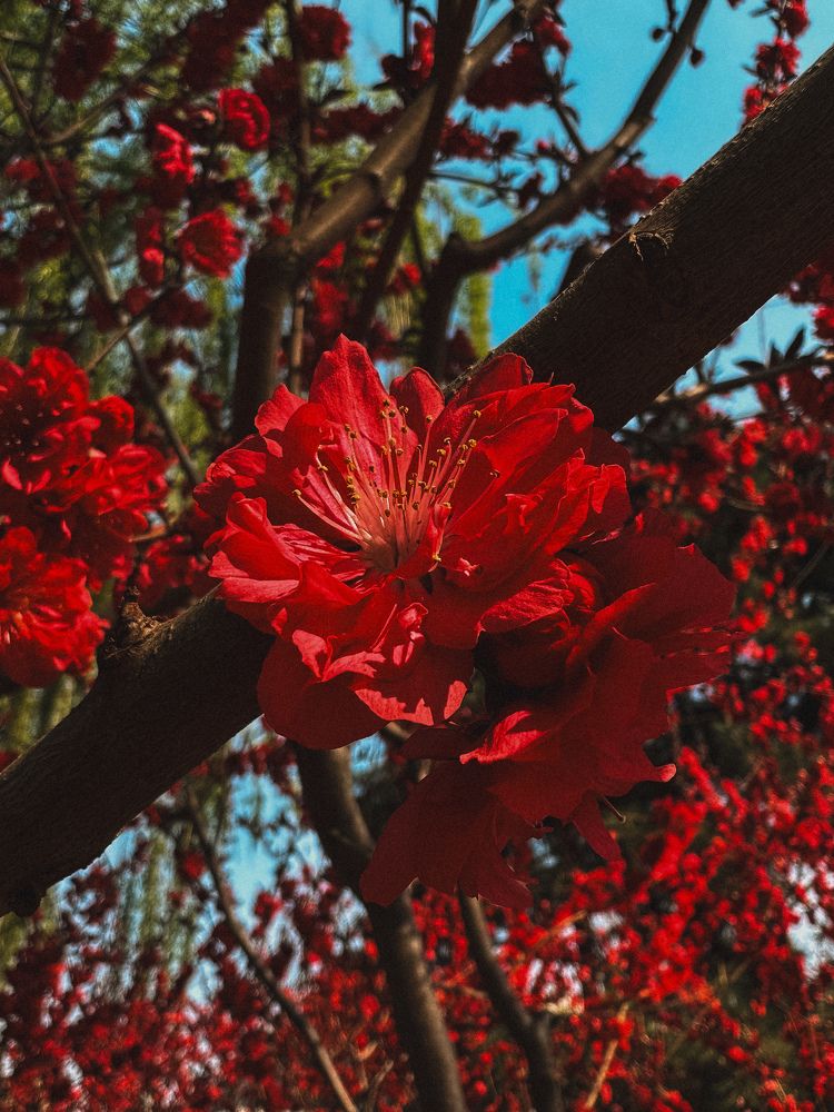 Фотография автора Yana Solomennikova