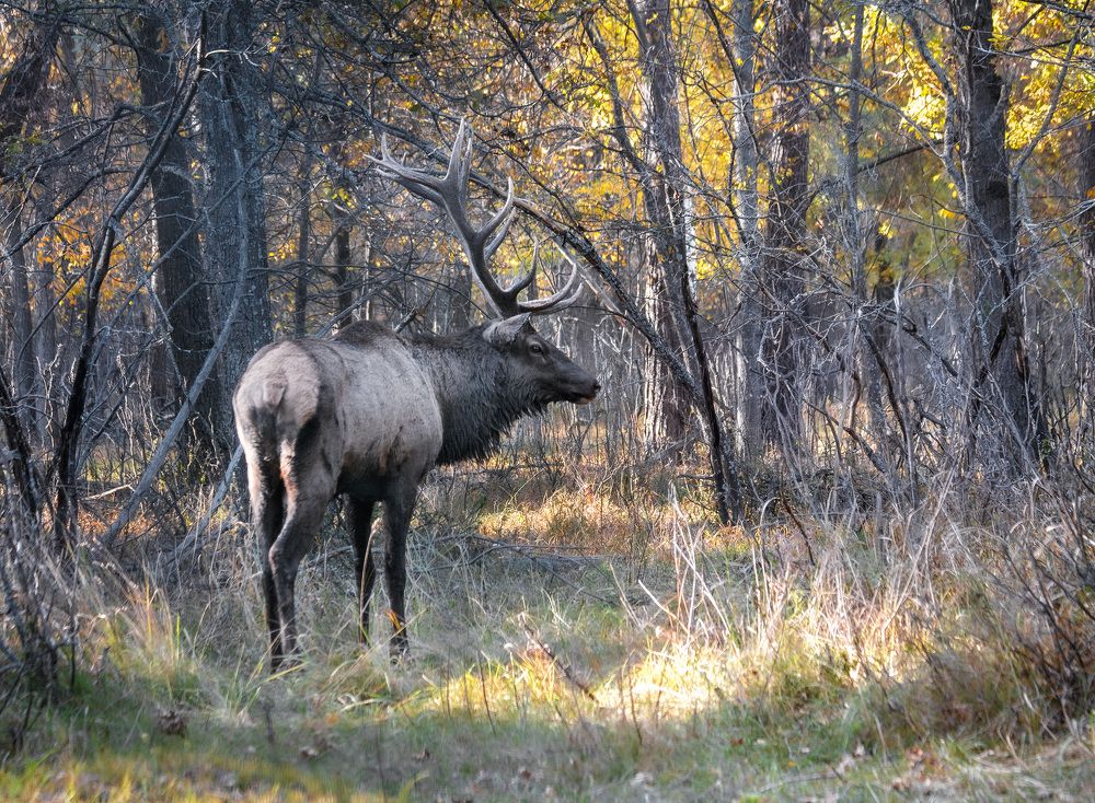 Photograph by Ткачёв Владимир