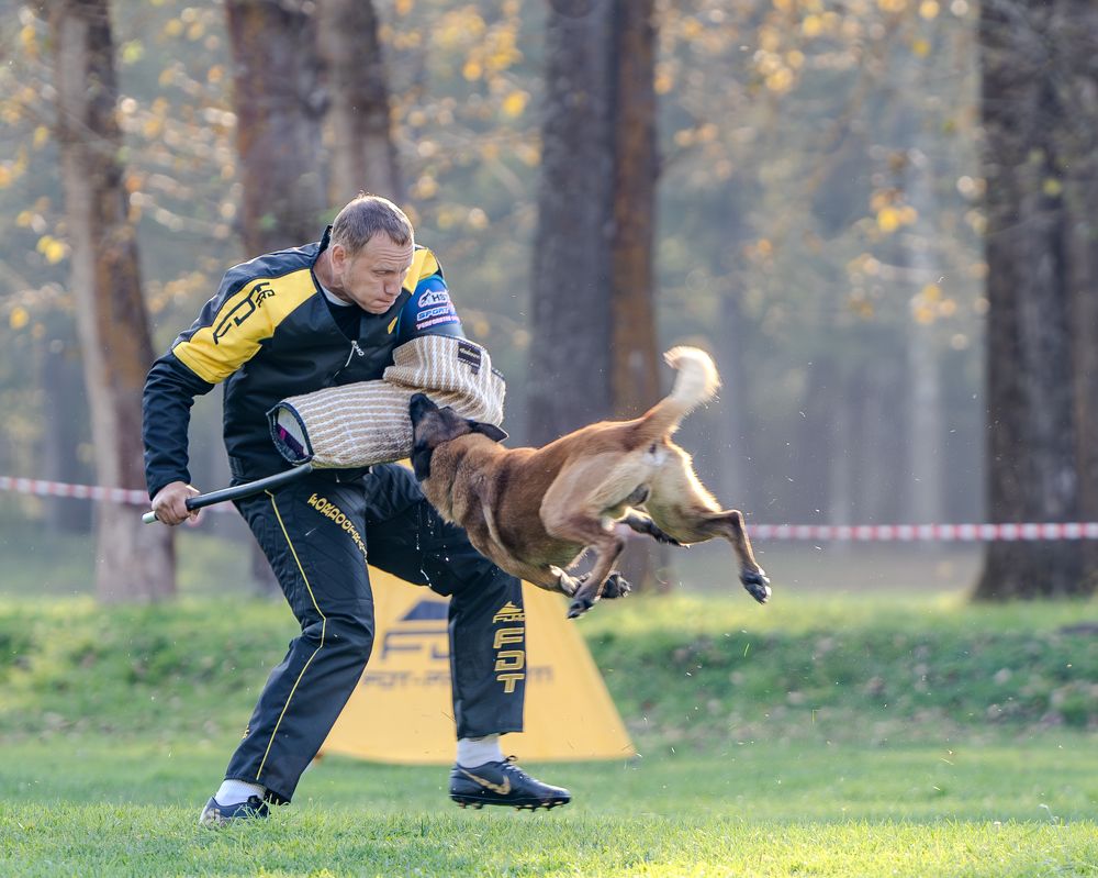 Photograph by Сергей Жиркевич