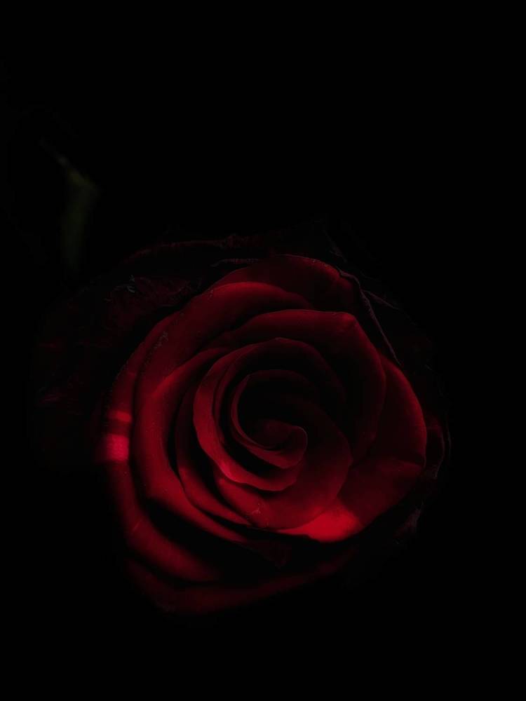 Photograph by Maria Stankevich