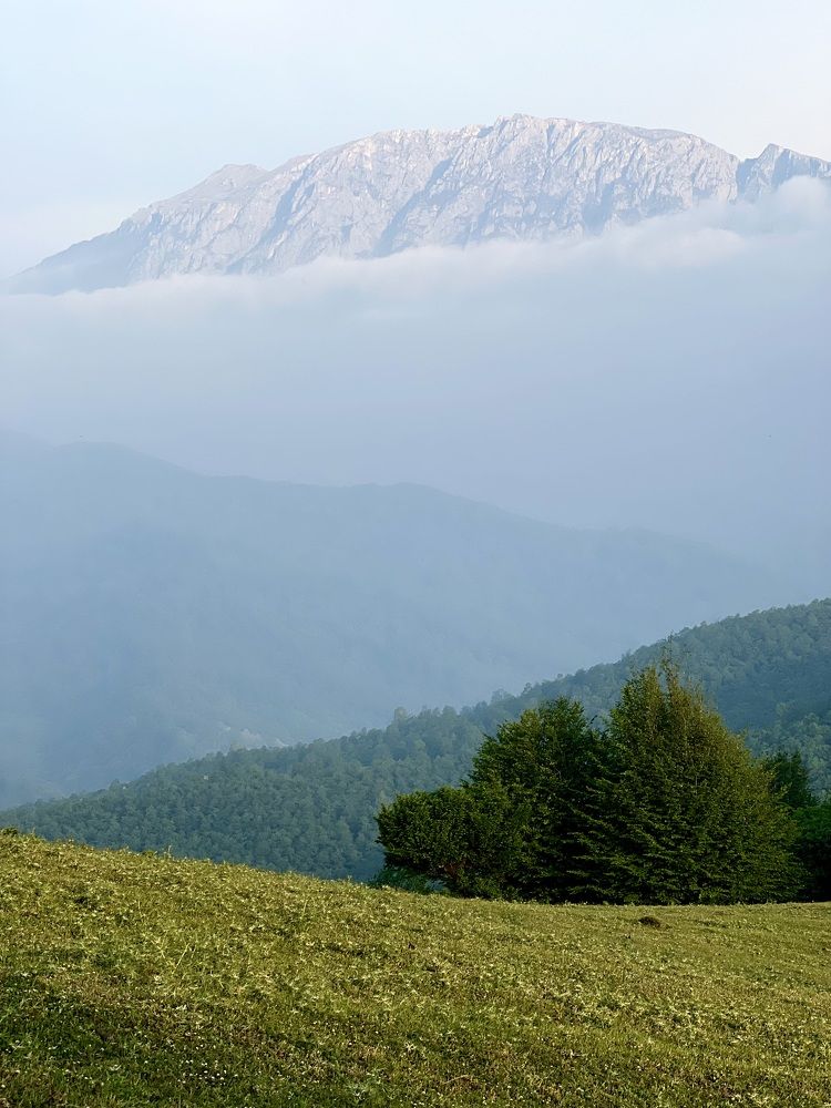 Photograph by amaz avr