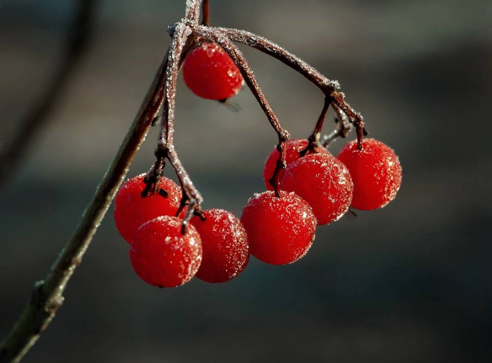 Photograph by Владимир Архипов