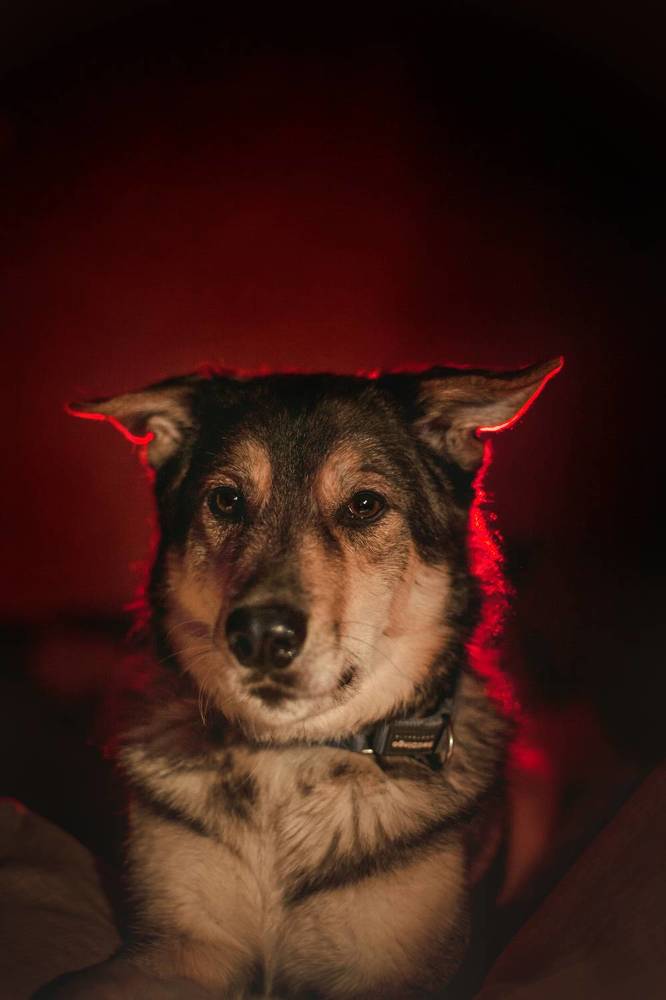 Photograph by Татьяна Степанова