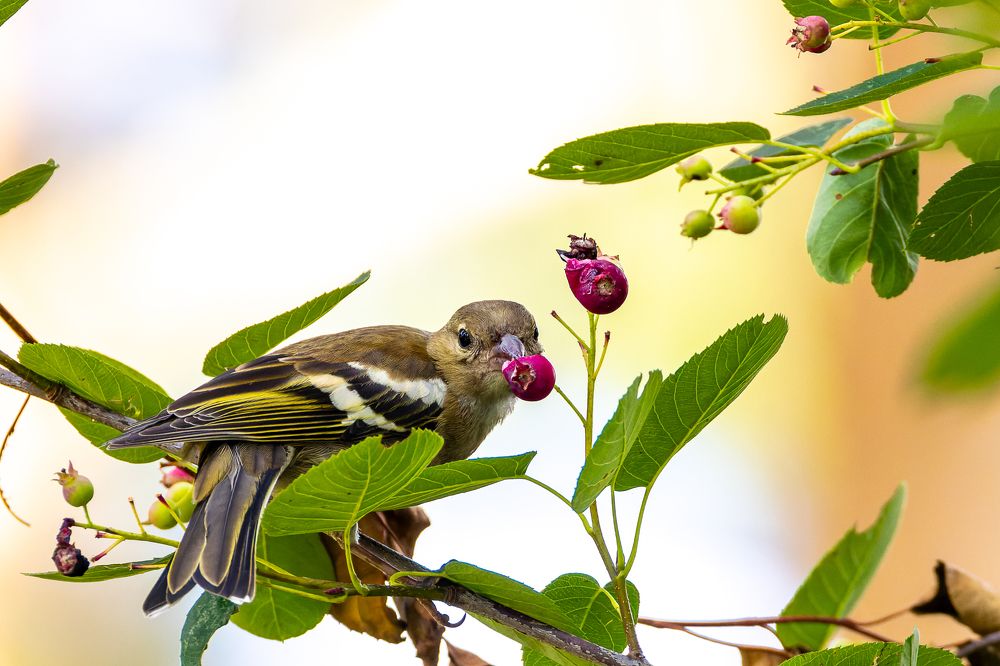 Photograph by Вера Машина