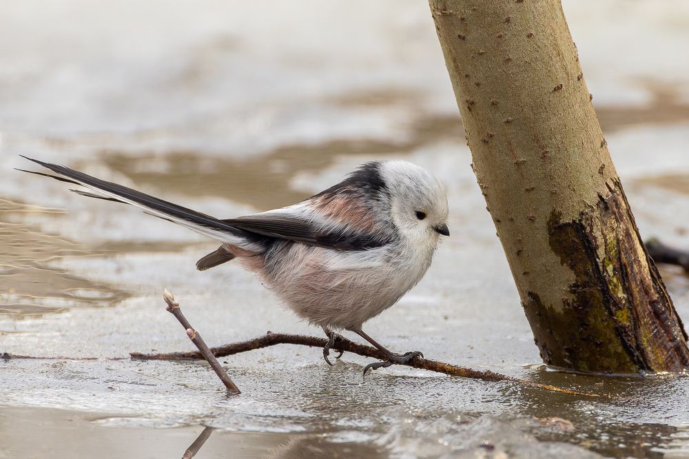 Photograph by Вера Машина