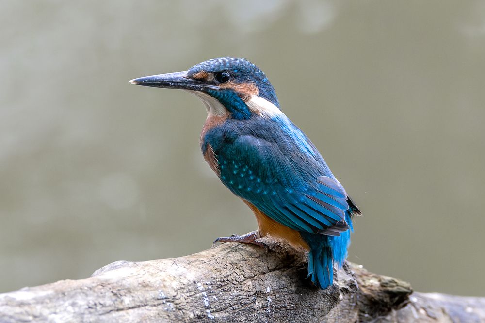 Photograph by Вера Машина