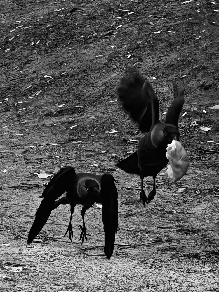 Photograph by Maria Stankevich