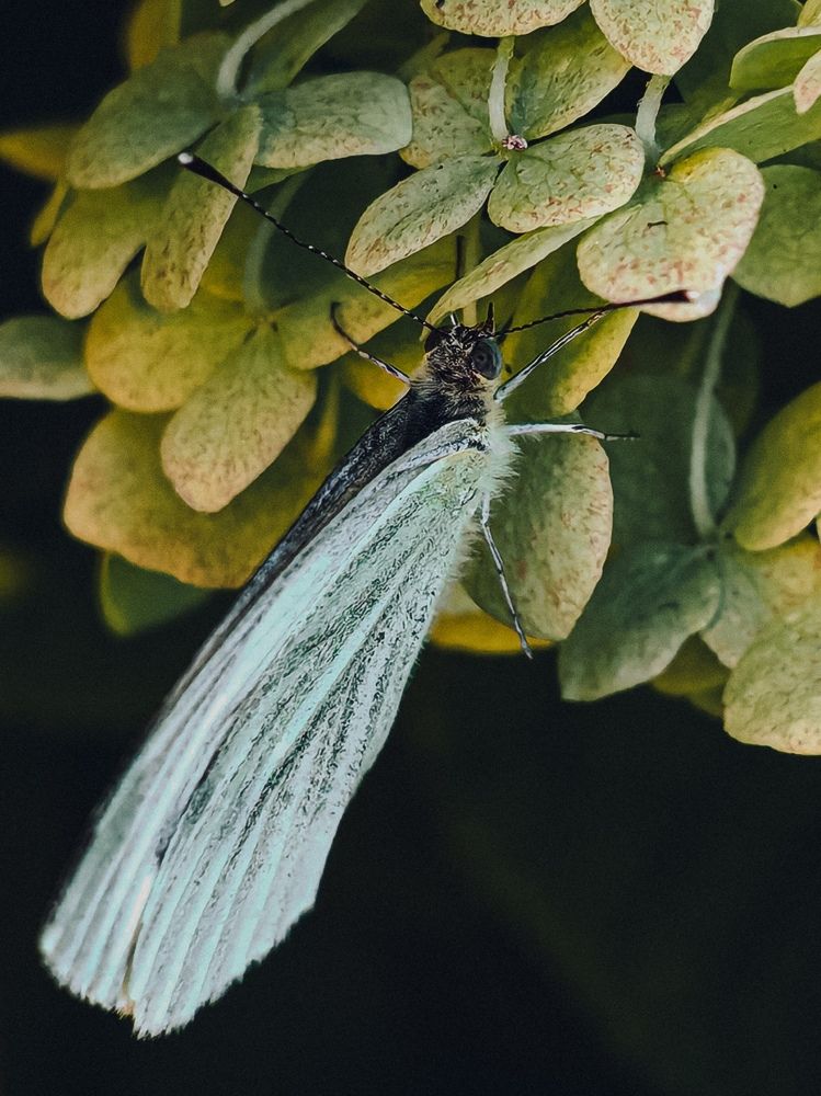 Photograph by Maria Stankevich