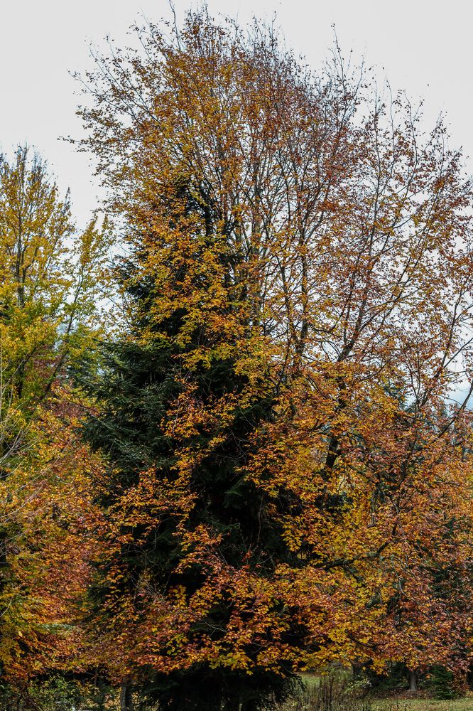 Photograph by Кристина Брызгалина