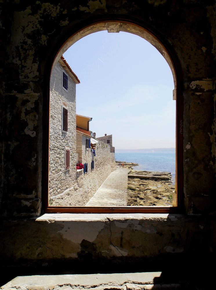 Photograph by Olga Kot