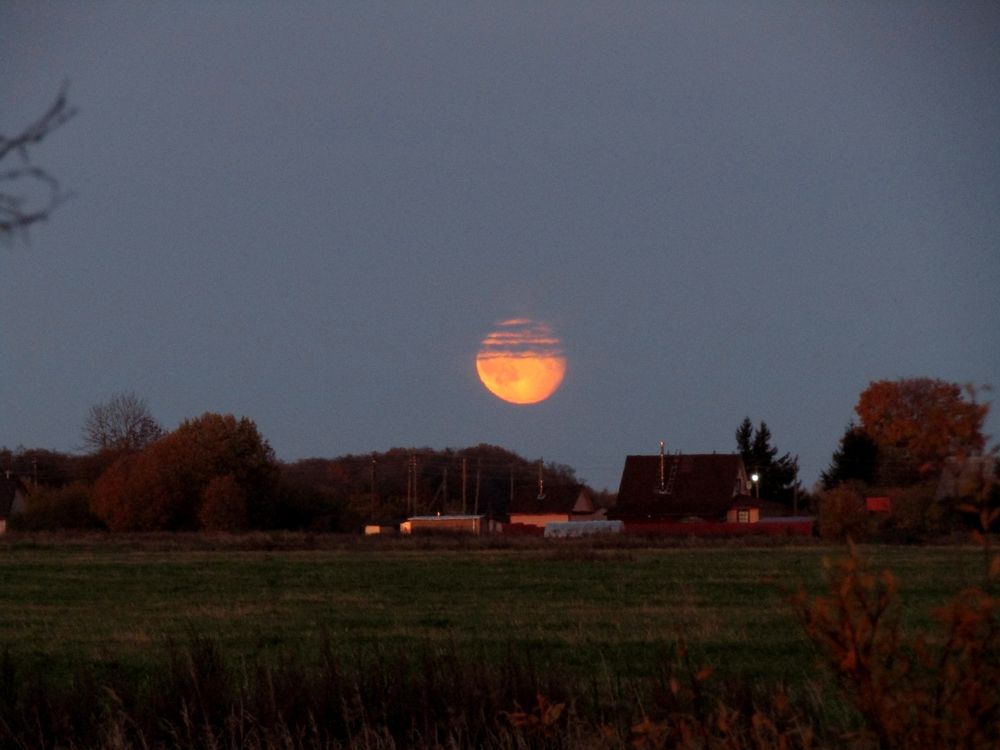 Photograph by Olga Kot