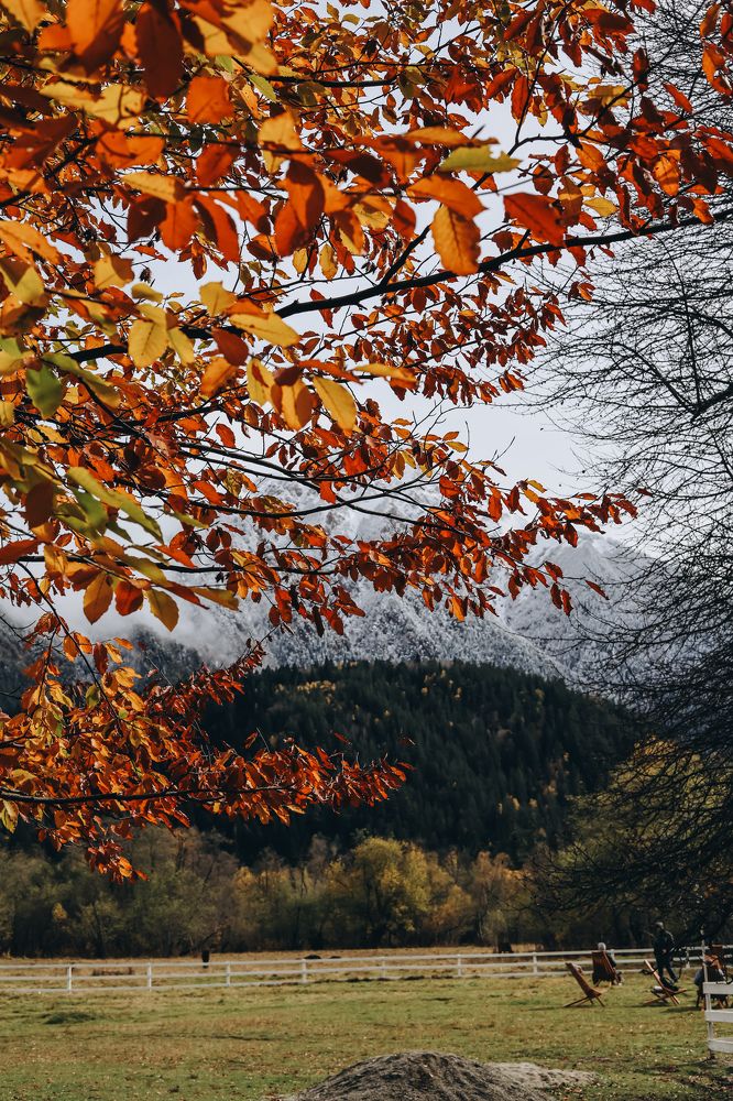 Photograph by Кристина Брызгалина