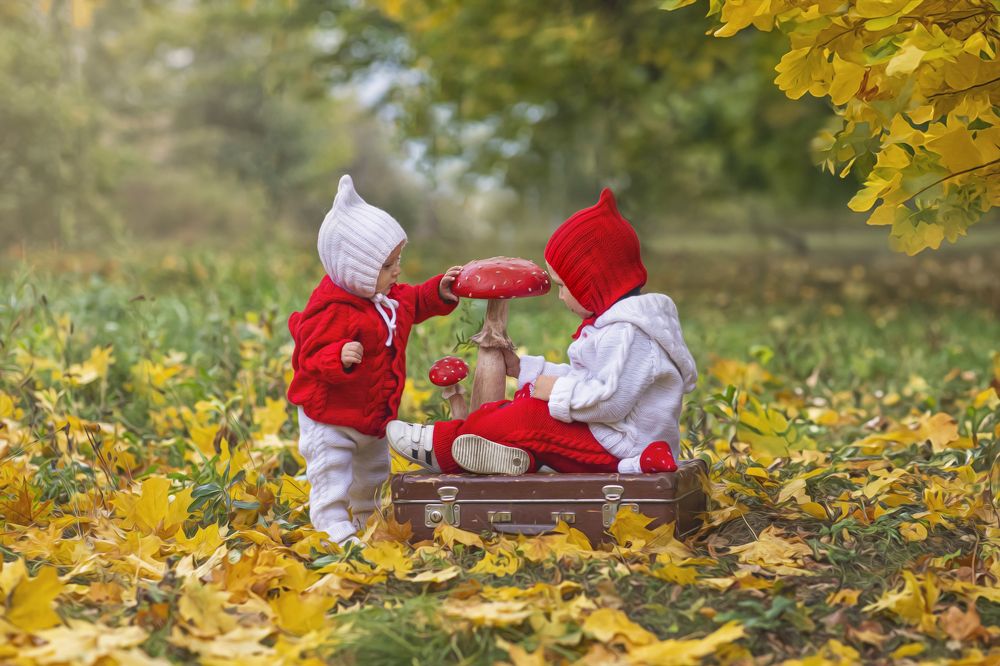 Photograph by Елена Шевчук