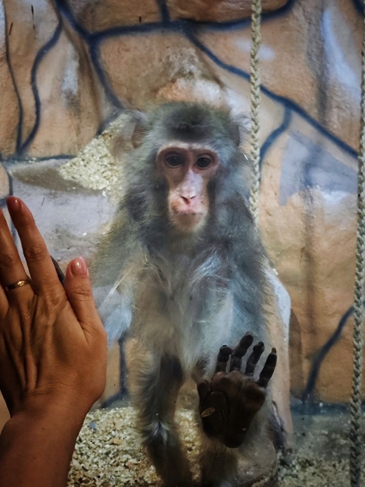 Photograph by Олеся Хижко