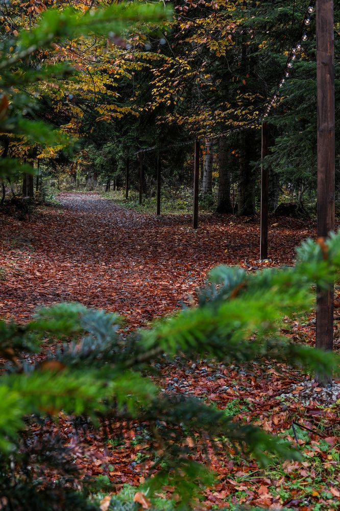 Photograph by Кристина Брызгалина