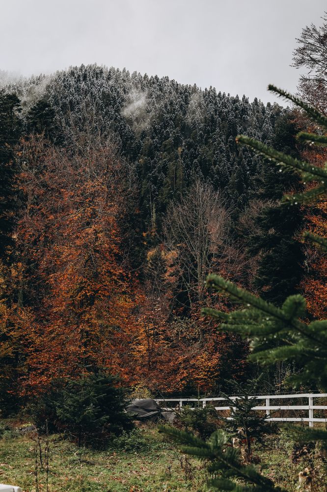 Photograph by Кристина Брызгалина