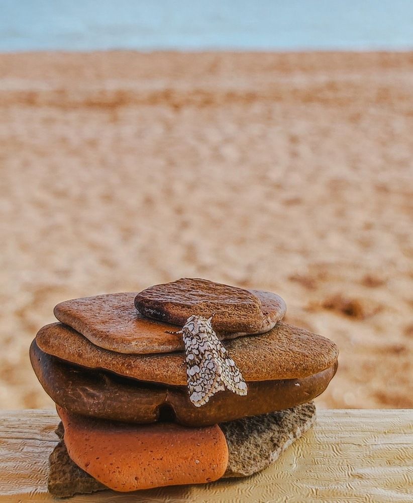 Photograph by Олеся Хижко