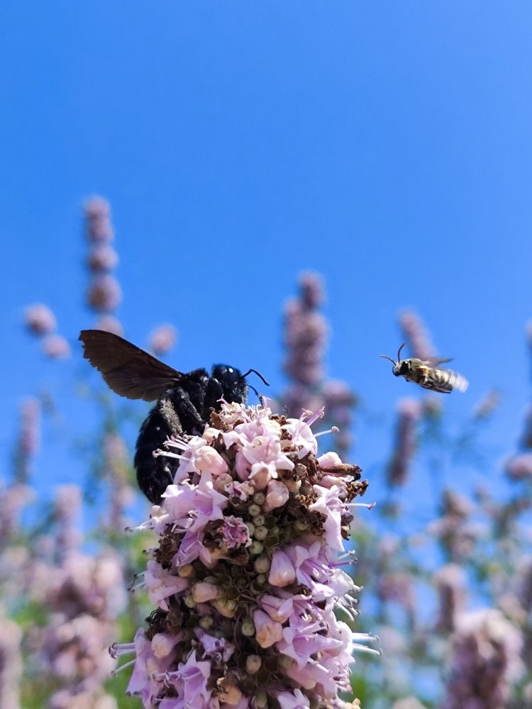 Photograph by Олеся Хижко