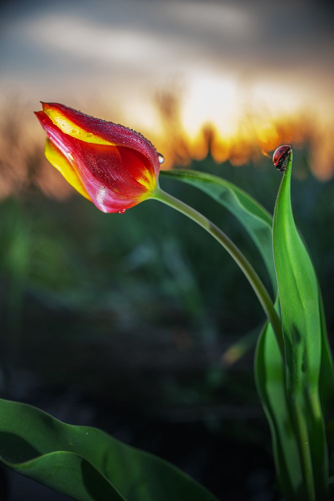 Photograph by Сергей Лексин