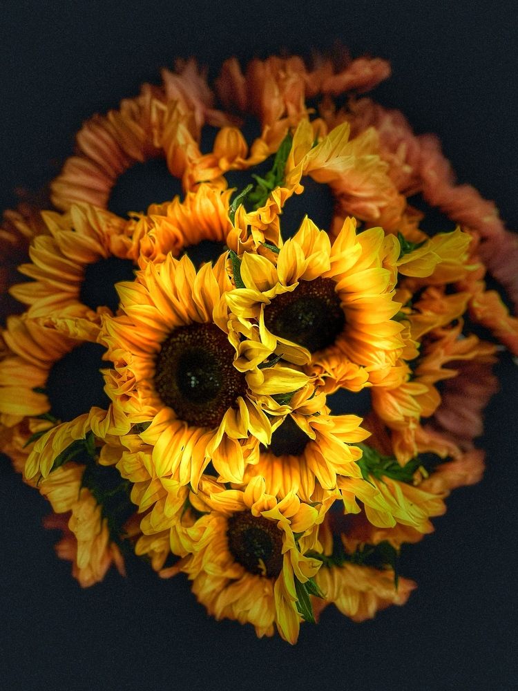 Фотография автора Olga Klyueva