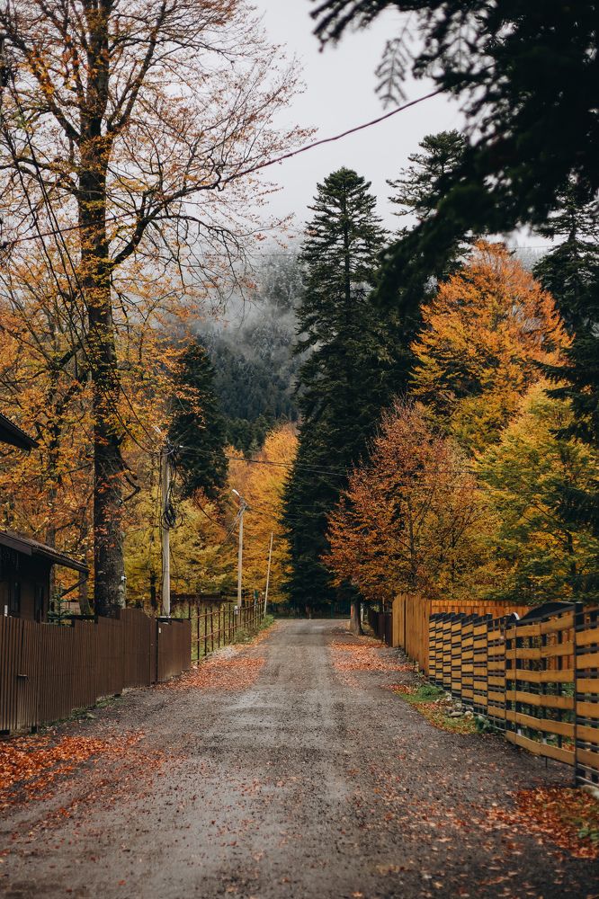 Photograph by Кристина Брызгалина