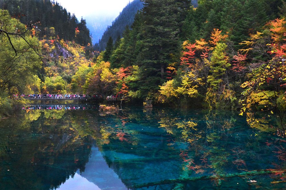 Photograph by Ольга Садохова