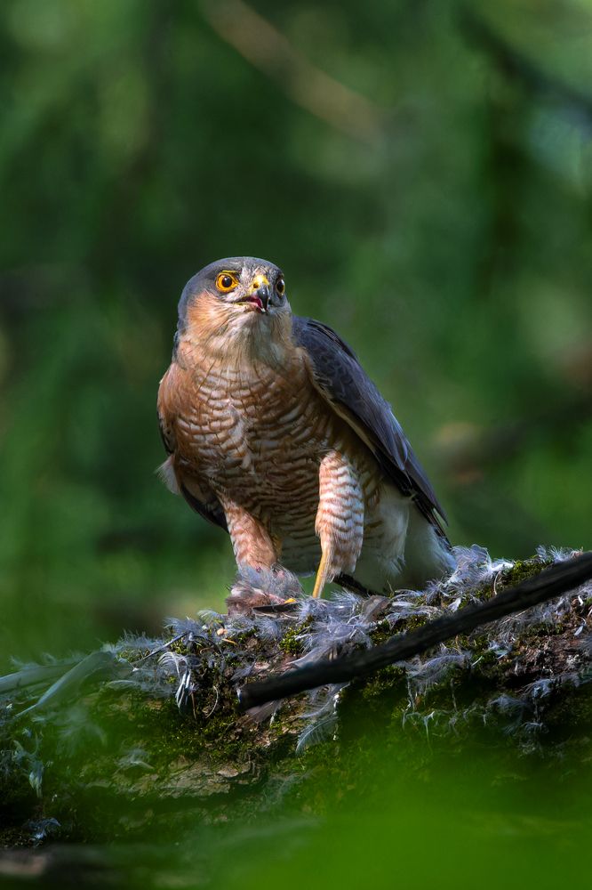 Photograph by Вера Машина