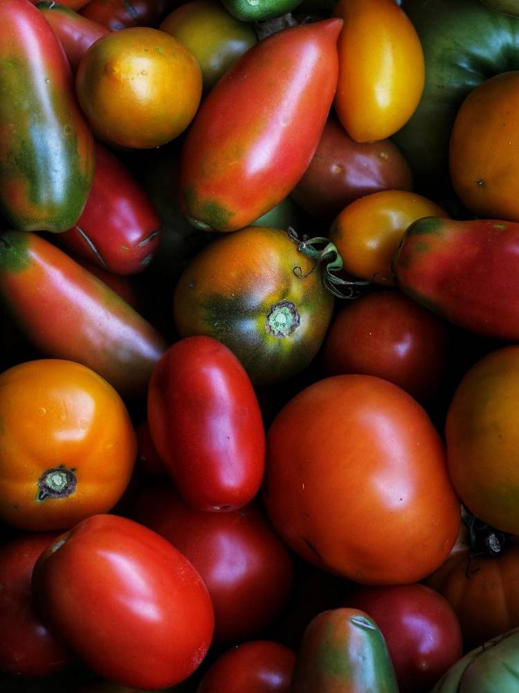 Photograph by Любовь Колмакова