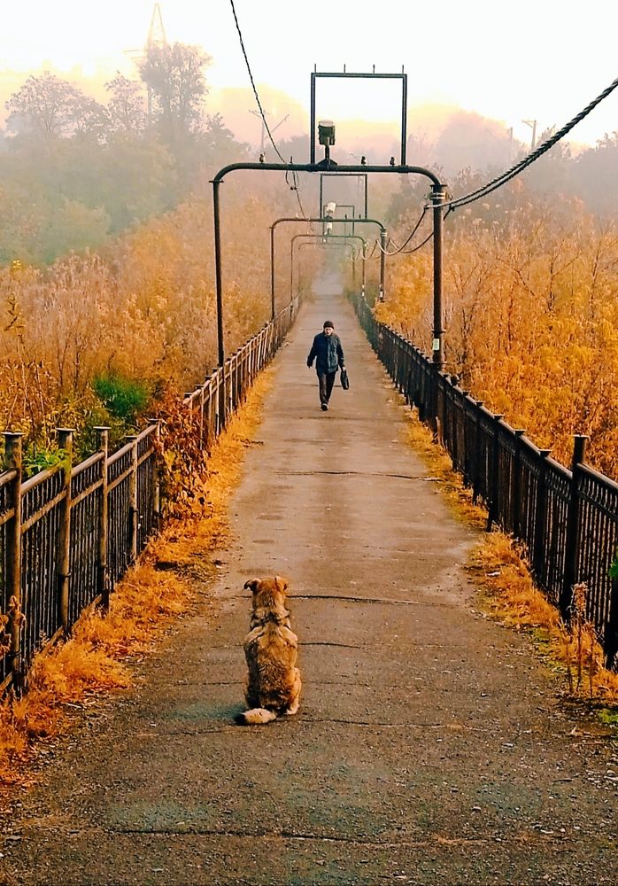 Photograph by Наталья Назаренко