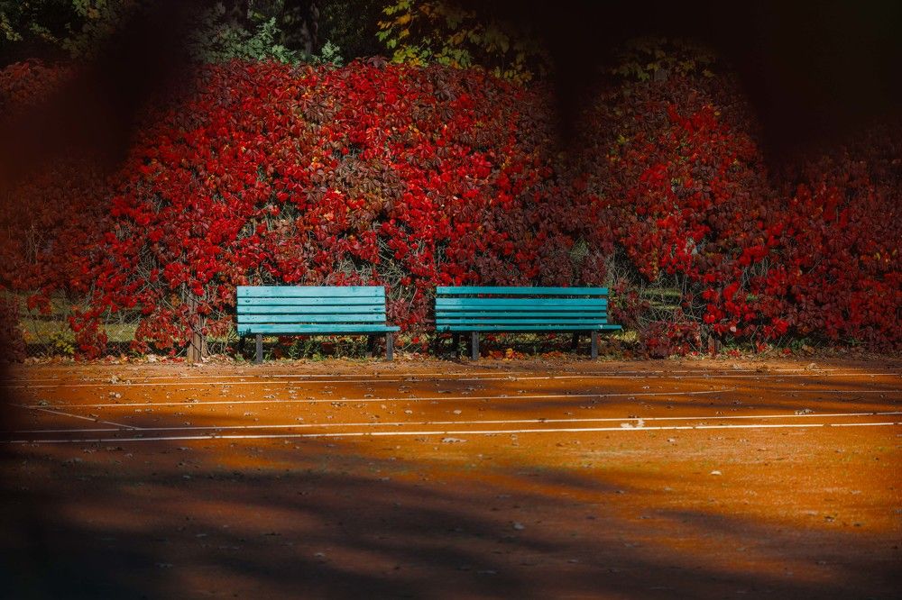 Фотография автора Михаил Балаев